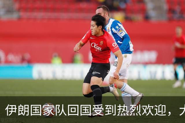 伊朗国家队回国受到热烈欢迎，大批球迷接机