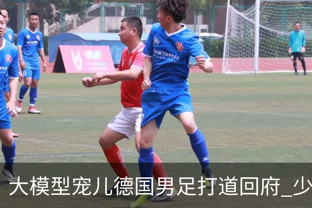 大模型宠儿德国男足打道回府 少了人性观察数据等于废纸