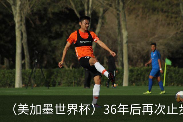 （美加墨世界杯）36年后再次止步16强 巴西距“六星之梦”仍遥远
